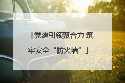党建引领聚合力 筑牢安全“防火墙”