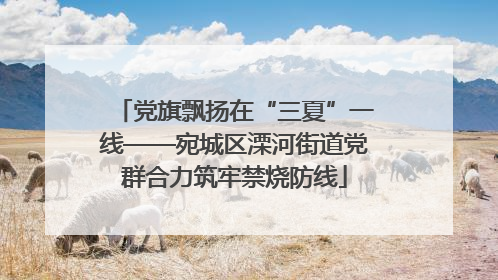 党旗飘扬在“三夏”一线——宛城区溧河街道党群合力筑牢禁烧防线