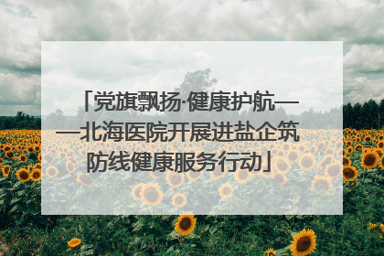党旗飘扬·健康护航——北海医院开展进盐企筑防线健康服务行动