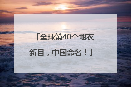 全球第40个地衣新目，中国命名！