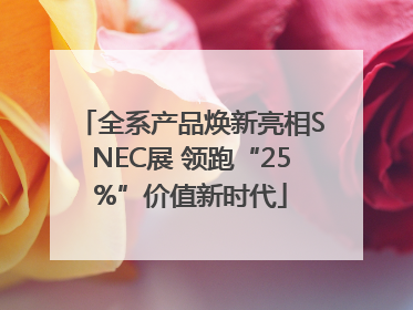 全系产品焕新亮相SNEC展 领跑“25%”价值新时代