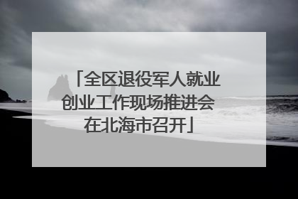 全区退役军人就业创业工作现场推进会在北海市召开