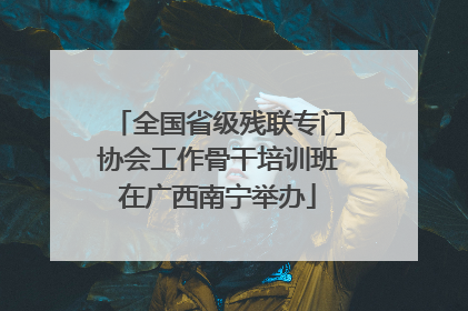 全国省级残联专门协会工作骨干培训班在广西南宁举办