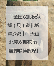 全国双拥模范城（县）巡礼新疆沙湾市：天山北麓双拥花 五届蝉联铸辉煌