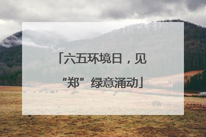 六五环境日，见“郑”绿意涌动