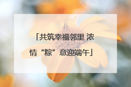 共筑幸福邻里 浓情“粽”意迎端午