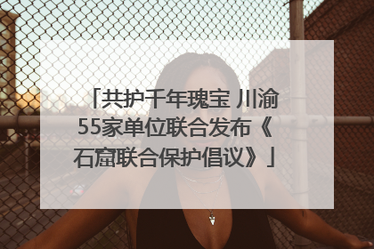 共护千年瑰宝 川渝55家单位联合发布《石窟联合保护倡议》