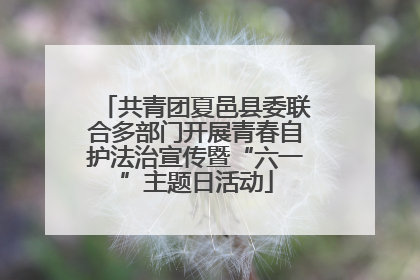共青团夏邑县委联合多部门开展青春自护法治宣传暨“六一”主题日活动