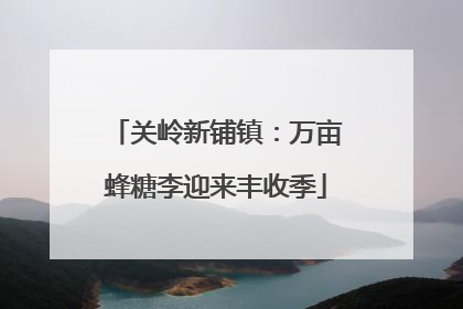 关岭新铺镇：万亩蜂糖李迎来丰收季