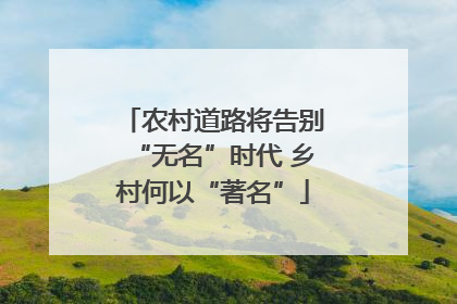 农村道路将告别“无名”时代 乡村何以“著名”