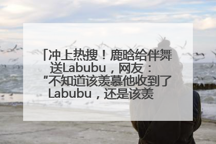 冲上热搜！鹿晗给伴舞送Labubu，网友：“不知道该羡慕他收到了Labubu，还是该羡慕鹿晗送他礼物”