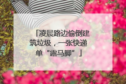凌晨路边偷倒建筑垃圾，一张快递单“露马脚”