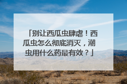 别让西瓜虫肆虐！西瓜虫怎么彻底消灭，潮虫用什么药最有效？