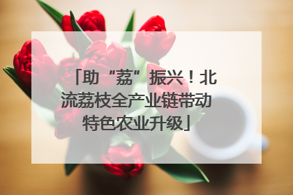 助“荔”振兴！北流荔枝全产业链带动特色农业升级
