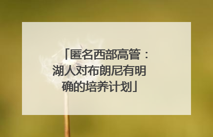 匿名西部高管：湖人对布朗尼有明确的培养计划