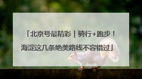 北京号最精彩｜骑行+跑步！海淀这几条绝美路线不容错过