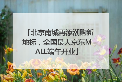 北京南城再添潮购新地标，全国最大京东MALL端午开业