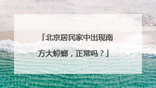 北京居民家中出现南方大蟑螂，正常吗？