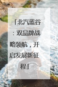 北汽蓝谷：双品牌战略领航，开启发展新征程