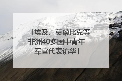 埃及、莫桑比克等非洲40多国中青年军官代表访华
