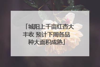 城阳上千亩红杏大丰收 预计下周各品种大面积成熟