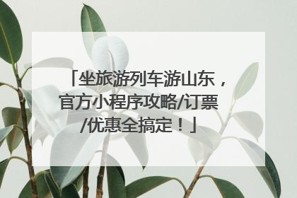 坐旅游列车游山东，官方小程序攻略/订票/优惠全搞定！