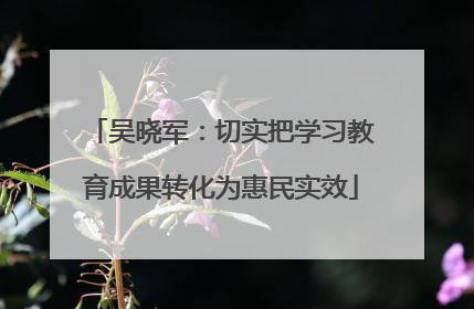吴晓军：切实把学习教育成果转化为惠民实效