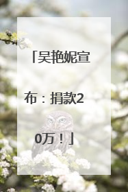 吴艳妮宣布：捐款20万！