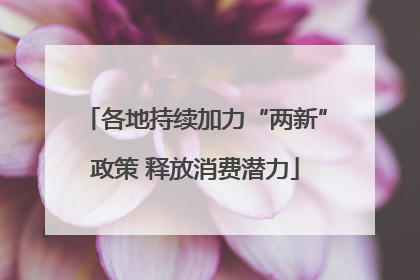 各地持续加力“两新”政策 释放消费潜力