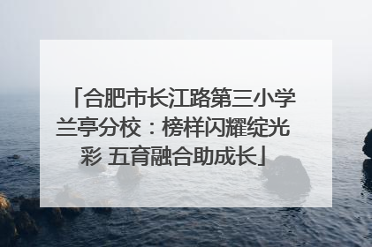 合肥市长江路第三小学兰亭分校：榜样闪耀绽光彩 五育融合助成长