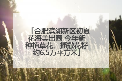 合肥滨湖新区初夏花海美出圈 今年新种植草花、播撒花籽约6.5万平方米