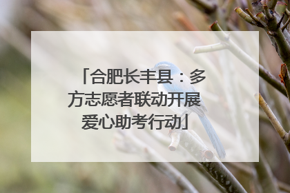 合肥长丰县：多方志愿者联动开展爱心助考行动