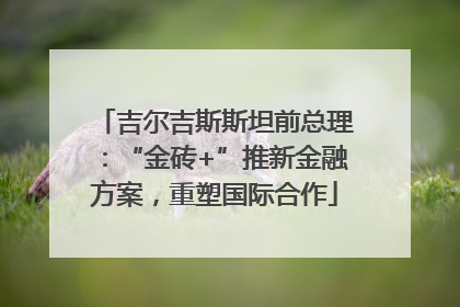 吉尔吉斯斯坦前总理：“金砖+”推新金融方案，重塑国际合作