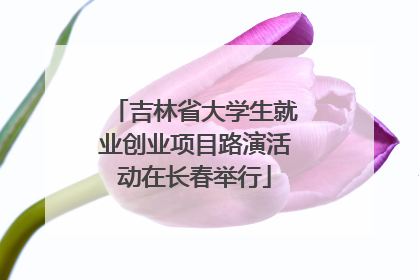 吉林省大学生就业创业项目路演活动在长春举行