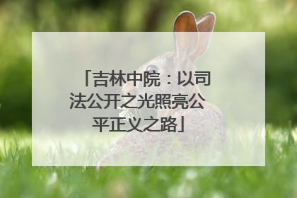 吉林中院：以司法公开之光照亮公平正义之路