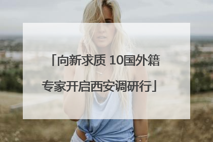 向新求质 10国外籍专家开启西安调研行