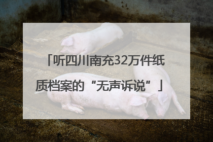 听四川南充32万件纸质档案的“无声诉说”