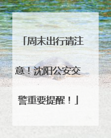 周末出行请注意！沈阳公安交警重要提醒！
