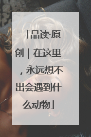 品读·原创｜在这里，永远想不出会遇到什么动物