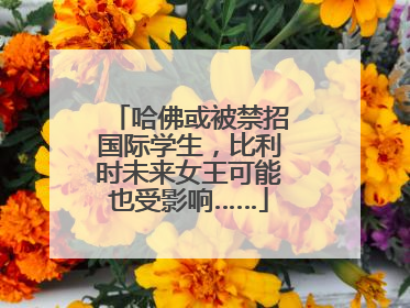 哈佛或被禁招国际学生，比利时未来女王可能也受影响……