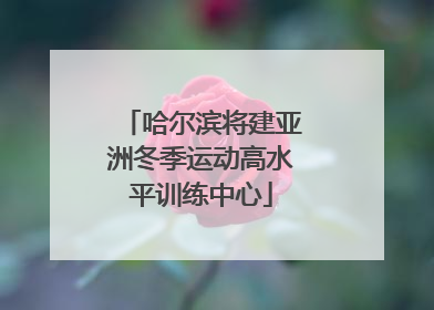 哈尔滨将建亚洲冬季运动高水平训练中心
