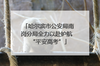 哈尔滨市公安局南岗分局全力以赴护航“平安高考”