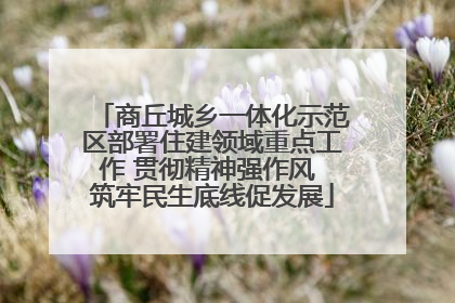 商丘城乡一体化示范区部署住建领域重点工作 贯彻精神强作风 筑牢民生底线促发展