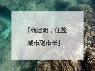 商建明，任盐城市副市长