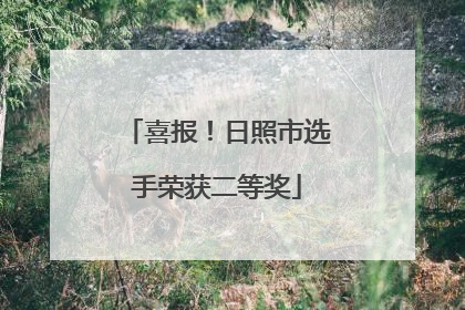 喜报！日照市选手荣获二等奖