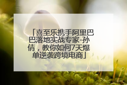 喜至乐携手阿里巴巴落地实战专家-孙倩，教你如何7天爆单逆袭跨境电商