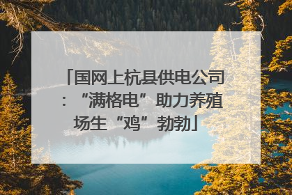 国网上杭县供电公司：“满格电”助力养殖场生“鸡”勃勃