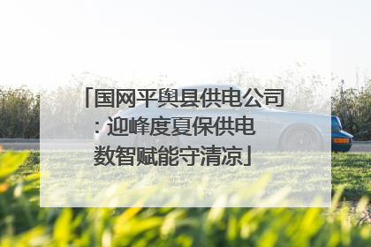国网平舆县供电公司：迎峰度夏保供电  数智赋能守清凉