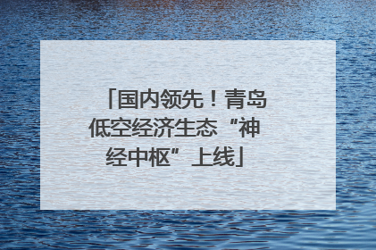 国内领先！青岛低空经济生态“神经中枢”上线