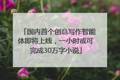 国内首个创意写作智能体即将上线，一小时或可完成30万字小说